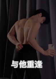 与他重逢封面